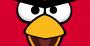   Angry Bird